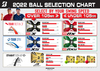 Bridgestone Tour B XS Tiger Woods Edition 2022