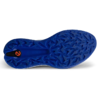 ECCO Golf Biom H5