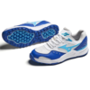Mizuno Contender GS